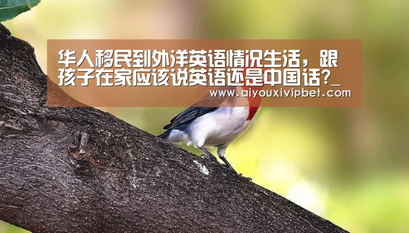 华人移民到外洋英语情况生活,跟孩子在家应该说英语还是中国话?_爱游戏官网(图3) 爱游戏官网