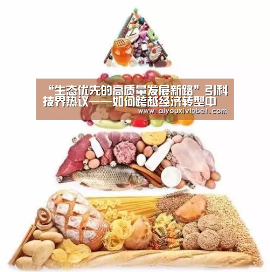 “生态优先的高质量发展新路”引科技界热议——如何跨越经济转型中的这道坎?‘爱游戏APP’(图1) 爱游戏赛事