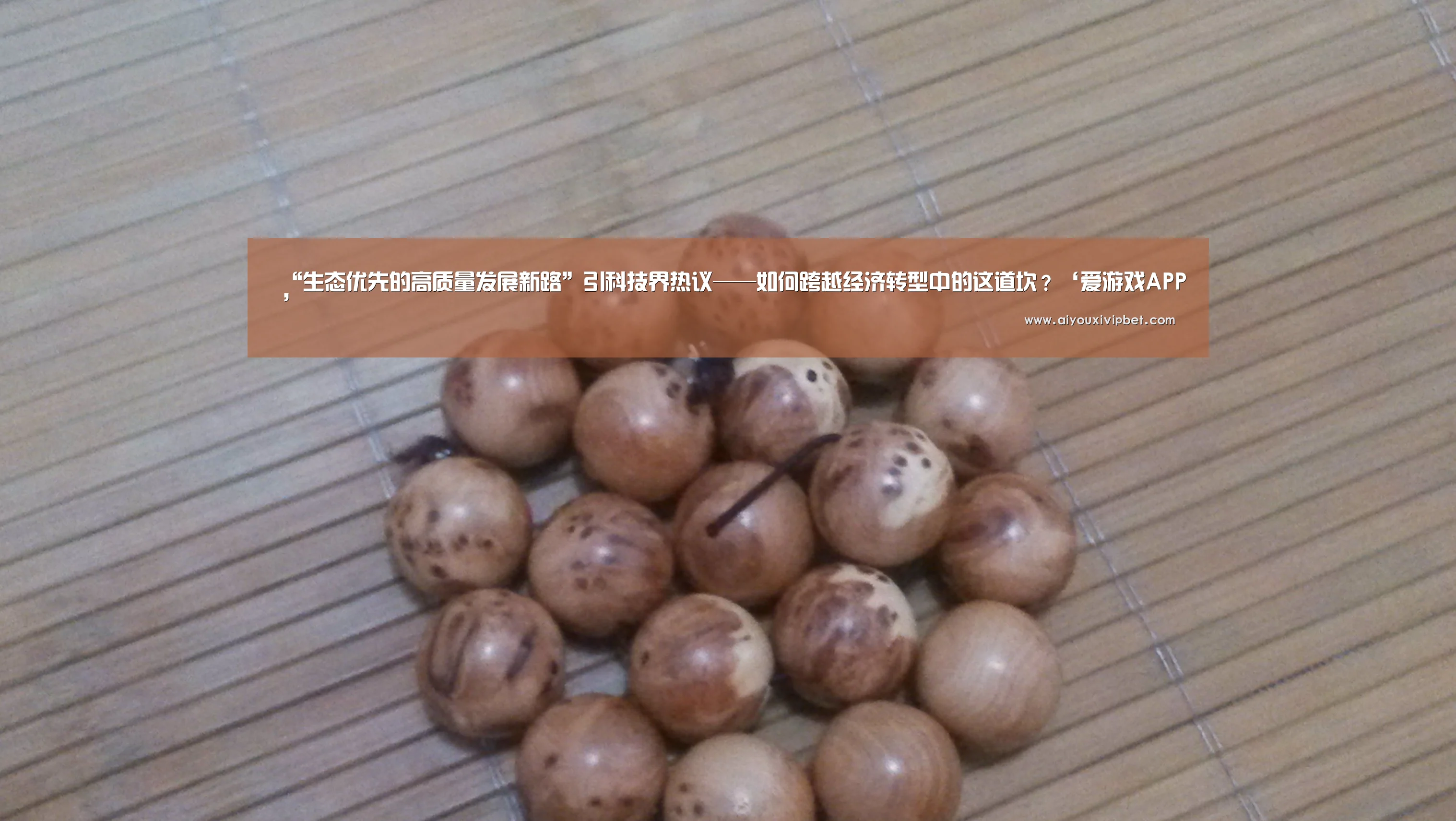 “生态优先的高质量发展新路”引科技界热议——如何跨越经济转型中的这道坎?‘爱游戏APP’(图2) 爱游戏赛事