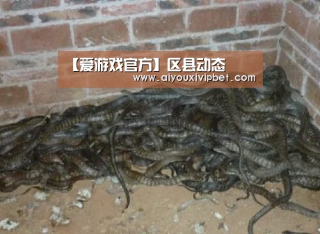 【爱游戏官方】区县动态(图6) 爱游戏赛事