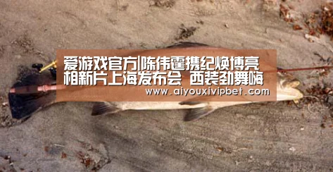 爱游戏官方|陈伟霆携纪焕博亮相新片上海发布会 西装劲舞嗨爆全场(图1) 爱游戏官方